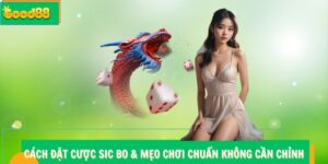 Cách Đặt Cược Sic Bo – Học Mẹo Chơi Chuẩn Không Cần Chỉnh